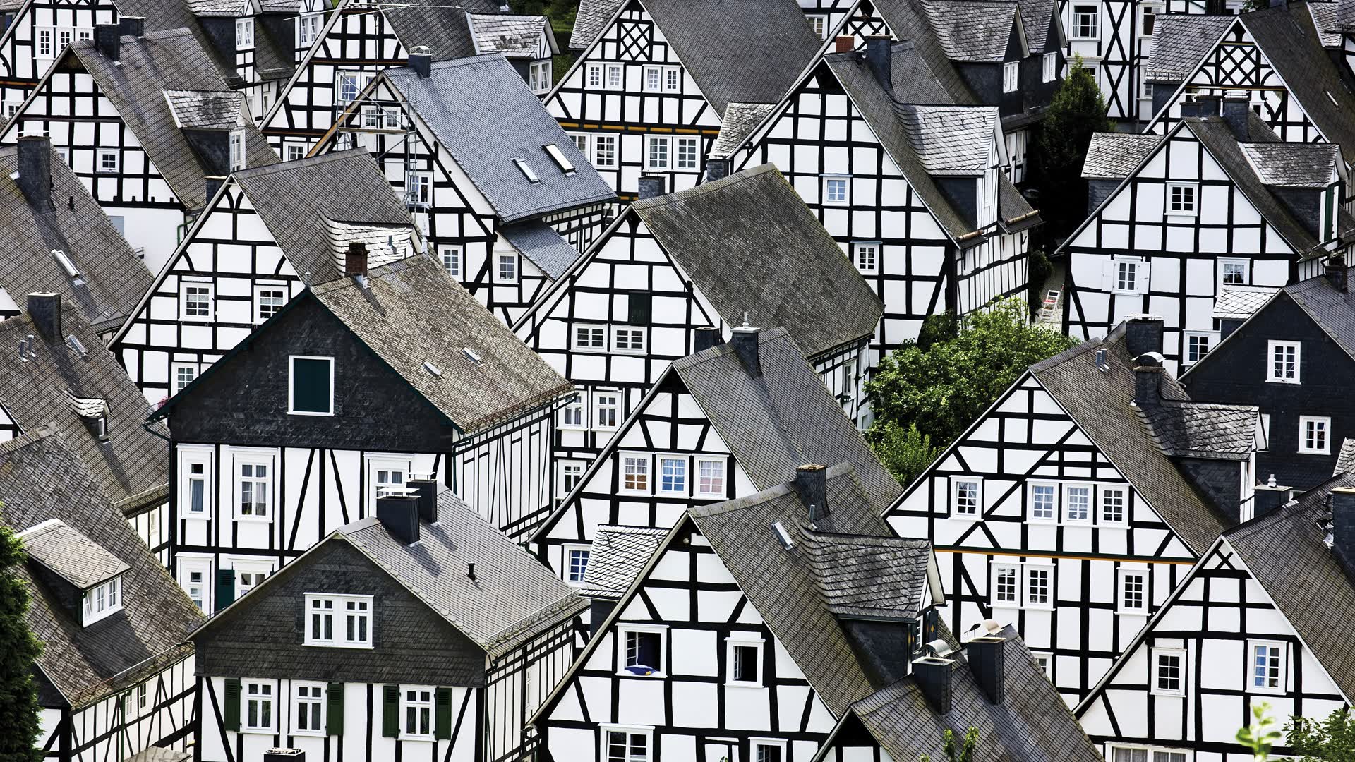 世界田径路跑系列赛15公里站：新兴项目逐步规范世界纪录线，1km田径世界纪录